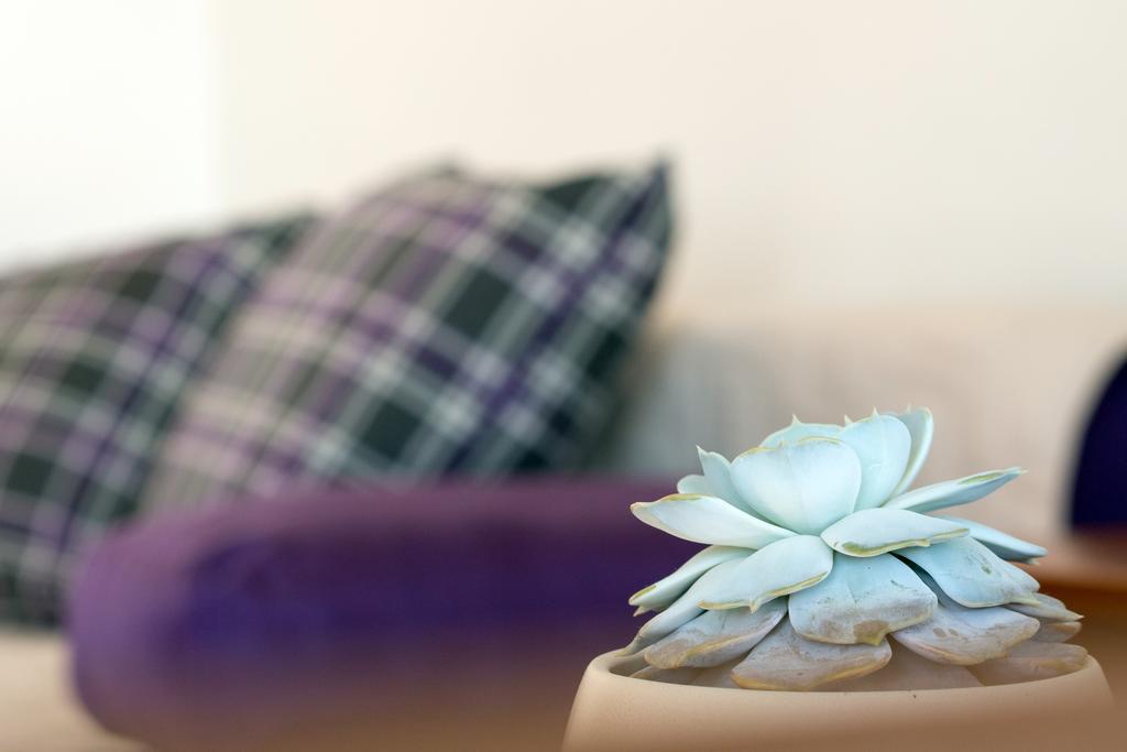 Beach Guesthouse Mediteran Podstrana Bilik gambar